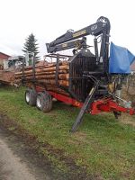 Transport von Polderholz Rheinland-Pfalz - Rheinzabern Vorschau