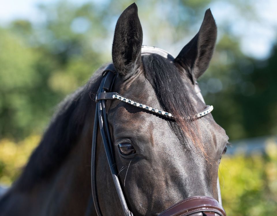 Wunderschöne rundgenahte Schwarz und Braune Lack Trensen €62,95 pony, vb, wb NEU in Rehburg-Loccum