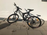 Fahrrad MTB Bulls Wild Beast Baden-Württemberg - Brackenheim Vorschau