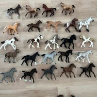 Schleich Fohlen schleichpferde Sammlung Pferde Bad Doberan - Landkreis - Kritzmow Vorschau