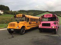 Partybus, US School Bus, JGA, Party, Bus, mieten Nordrhein-Westfalen - Hilchenbach Vorschau