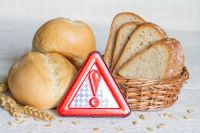 Zöliakie Glutenunverträglichkeit Weizen Gluten Allergie Gentest Sachsen - Zwenkau Vorschau