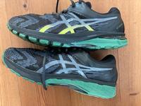 Trail Running Schuhe Asics GoreTex GT 2000  Gr.46 Bayern - Weidenberg Vorschau