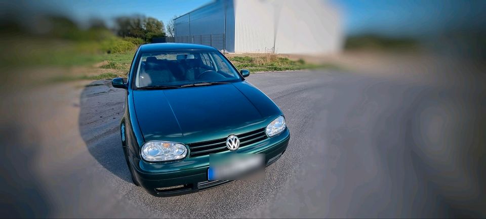 Verkaufe Golf 4 in Ueckermuende