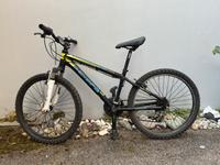 Kinder Fahrrad,  Checker Pig Little Pig 24" MTB RH 35 Stuttgart - Stuttgart-Nord Vorschau