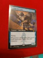 Magic the Gathering Ledger Shredder (ENG) Full Art Saarland - Saarlouis Vorschau