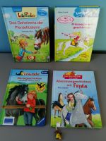 4x Mädchenbücher 2. - 3. Klasse, ab 7 J. ❤ Pferde, Prinzessinnen Bayern - Bernhardswald Vorschau