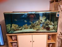 600 Liter Aquarium mit Besatz Hessen - Tann Vorschau