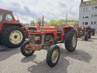 Massey Ferguson 165 Wuppertal - Heckinghausen Vorschau