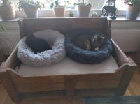 Katzenbett Hundebett DIY aus Europaletten Nordrhein-Westfalen - Lüdenscheid Vorschau