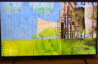 Fernseher Samsung 65 Zoll Nordrhein-Westfalen - Recklinghausen Vorschau