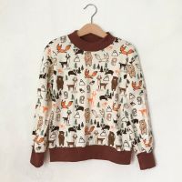 Sale NEU Etsy Bär Fuchs Kinder Pullover Langarm Shirt Pulli 122 Leipzig - Sellerhausen-Stünz Vorschau