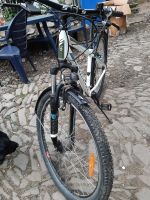 Trekking Rad Serious Cykles Kinder 26 ziger Niedersachsen - Bad Sachsa Vorschau