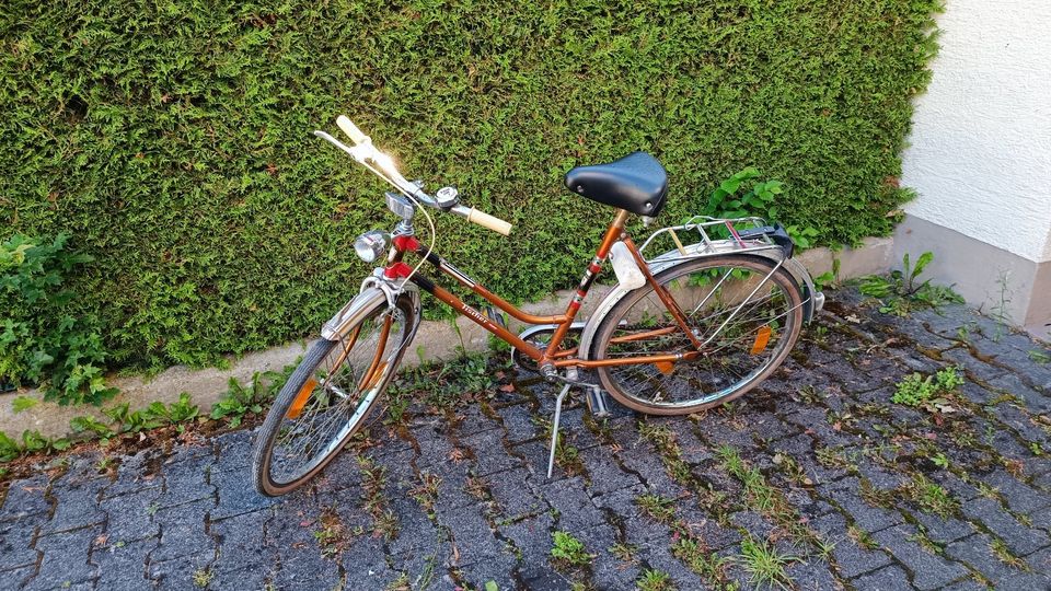 Fischer Damen Fahrrad 26 Zoll retro verkehrssicher in München