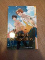 Das Funkeln des Augenblicks Manga Yaoi BL Friedrichshain-Kreuzberg - Friedrichshain Vorschau