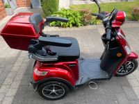 Rolektro E-Trike 25, Rentner Roller Nordrhein-Westfalen - Hamminkeln Vorschau