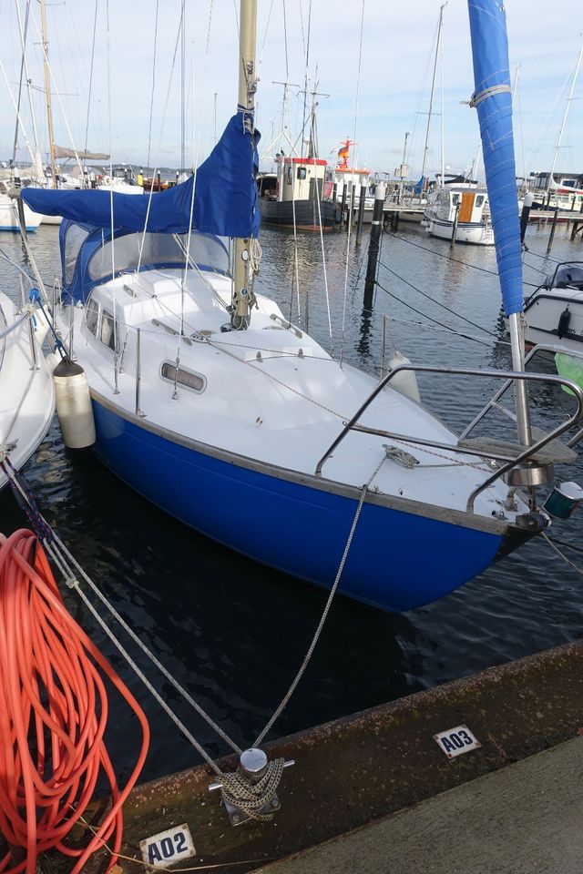 Segelboot Bandholm 24 - helft den Schweinswalen! in Langballig