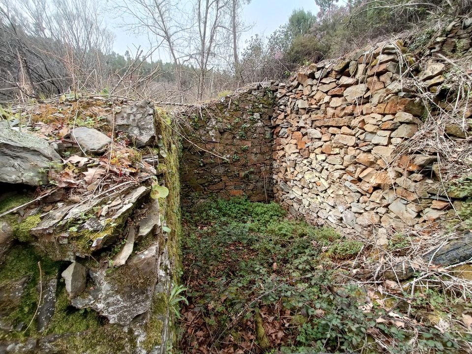 2,7 ha mit einem natürlichen Teich und Bach im Zentralportugal in München