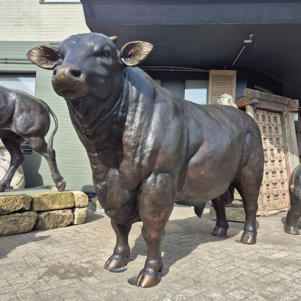 24804 Skulptur Deko-Figur Stier Bronze 1,64 m in Nordhorn