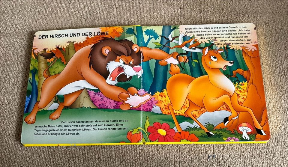 Buch für Kinder in Weischütz