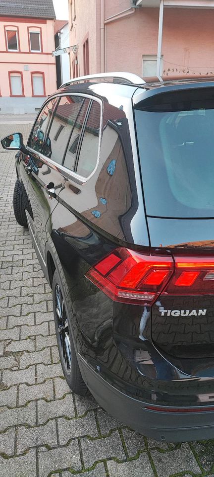 VW Tiguan United in Heddesheim