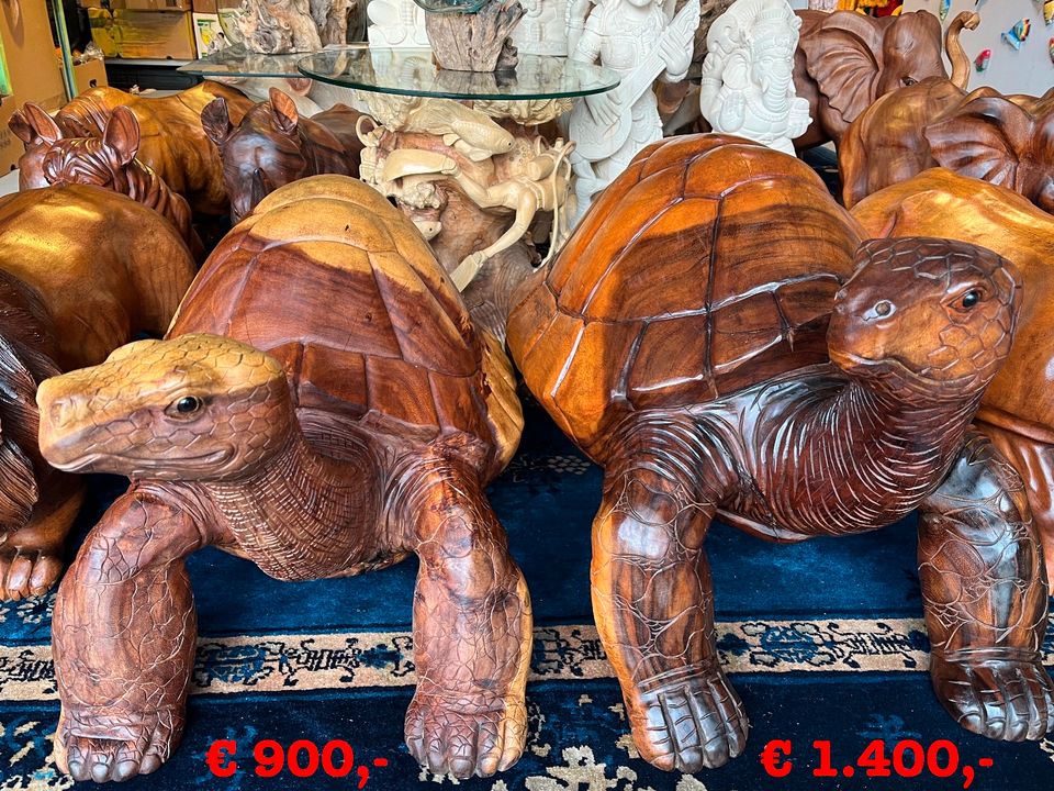 Schildkröte 60cm Meeresschildkröte Wasserschildkröte Holz in Essen