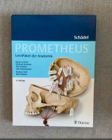 Anatomie Schädel Lernpaket - Prometheus Berlin - Schöneberg Vorschau