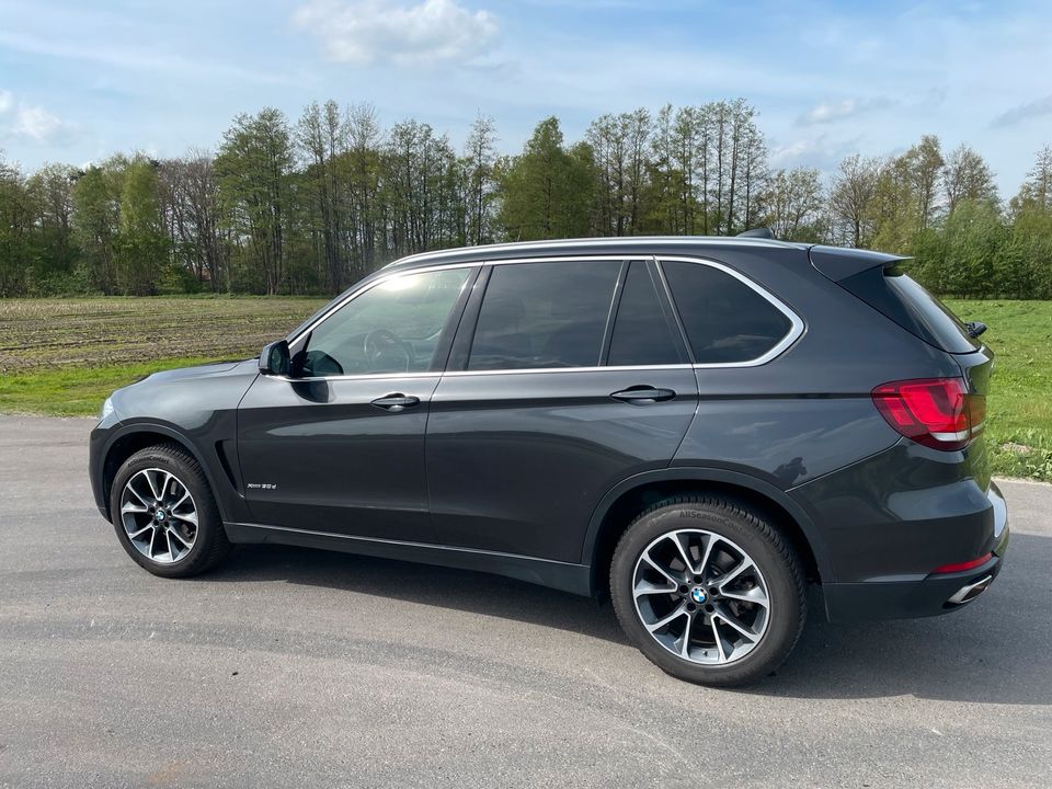 BMW X5 xDrive 30d in Heek