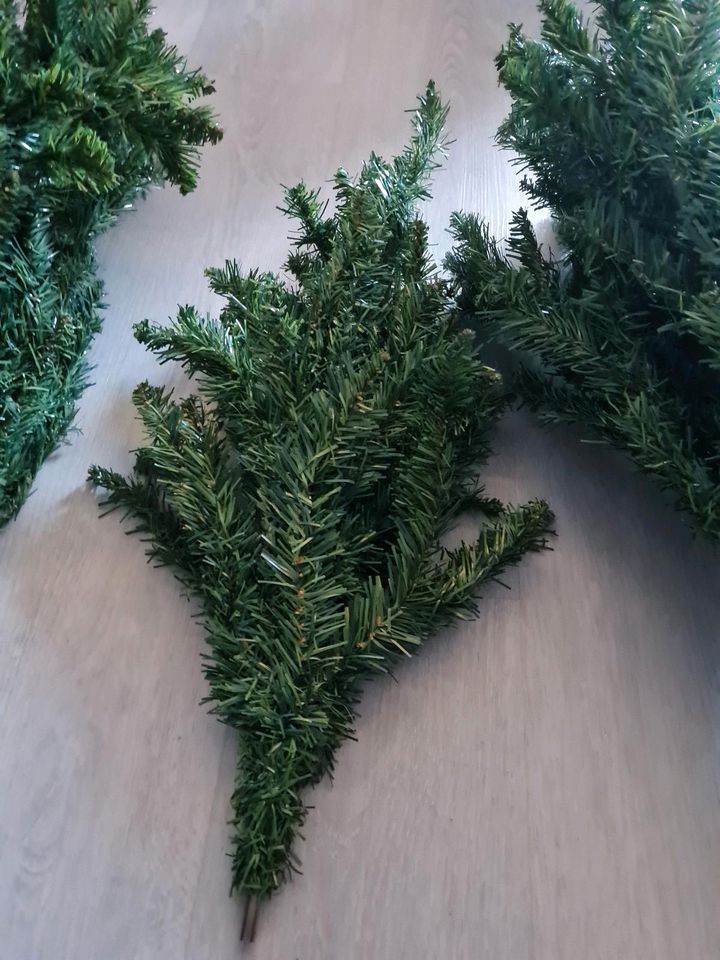 180cm großer Weihnachtsbaum  80cm breit in Rehfelde