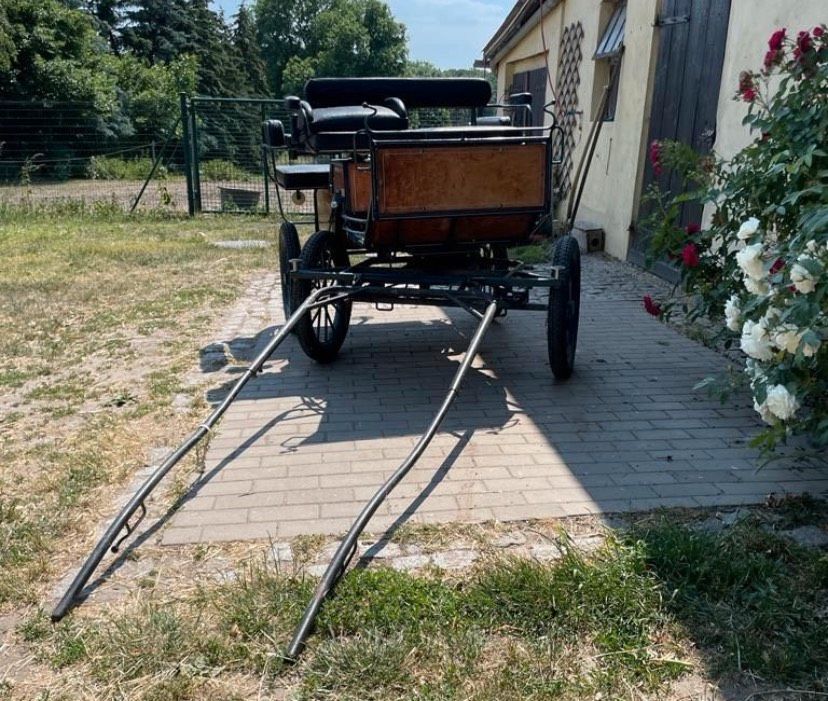 Wagonette/ Ponykutsche bis 145 cm in Stocksee