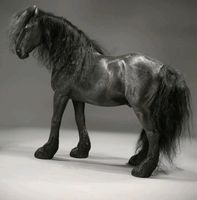Mr. Z Shire Horse 2.0 black schwarz 1/6 Scale Modellpferd Bayern - Augsburg Vorschau