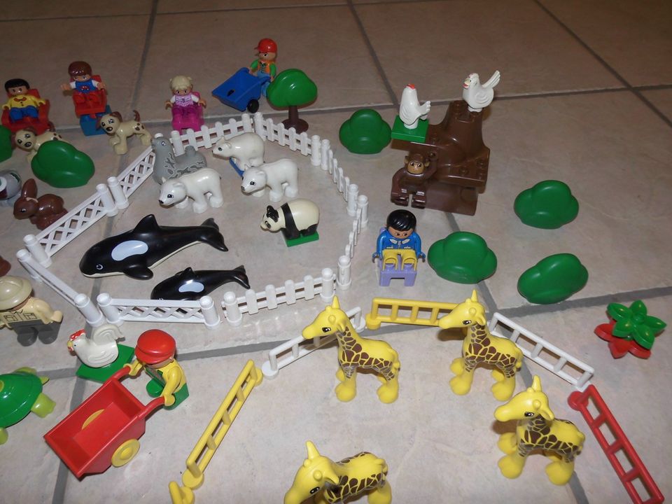 Lego Duplo, großer Zoo mit fast 50 Tiere, Gehege, Bäume usw. lese in Heinsberg