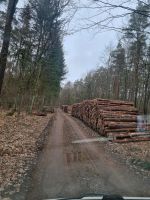 Holzeinschlag Durchforstung Harvester Forwarder Ludwigslust - Landkreis - Pampow Vorschau