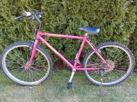 Mountainbike pink Specialized Hard Rock Mädchen 26 Zoll Fahrrad Bayern - Vilshofen an der Donau Vorschau