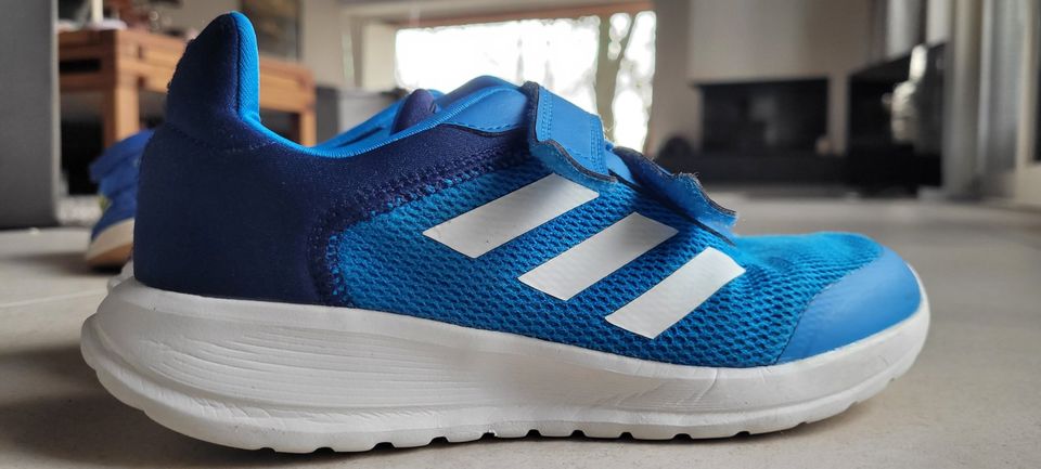 addidas kids Hallenschuhe Gr.35 UK3 blau  weisse Sohle, neuwertig in Bendestorf