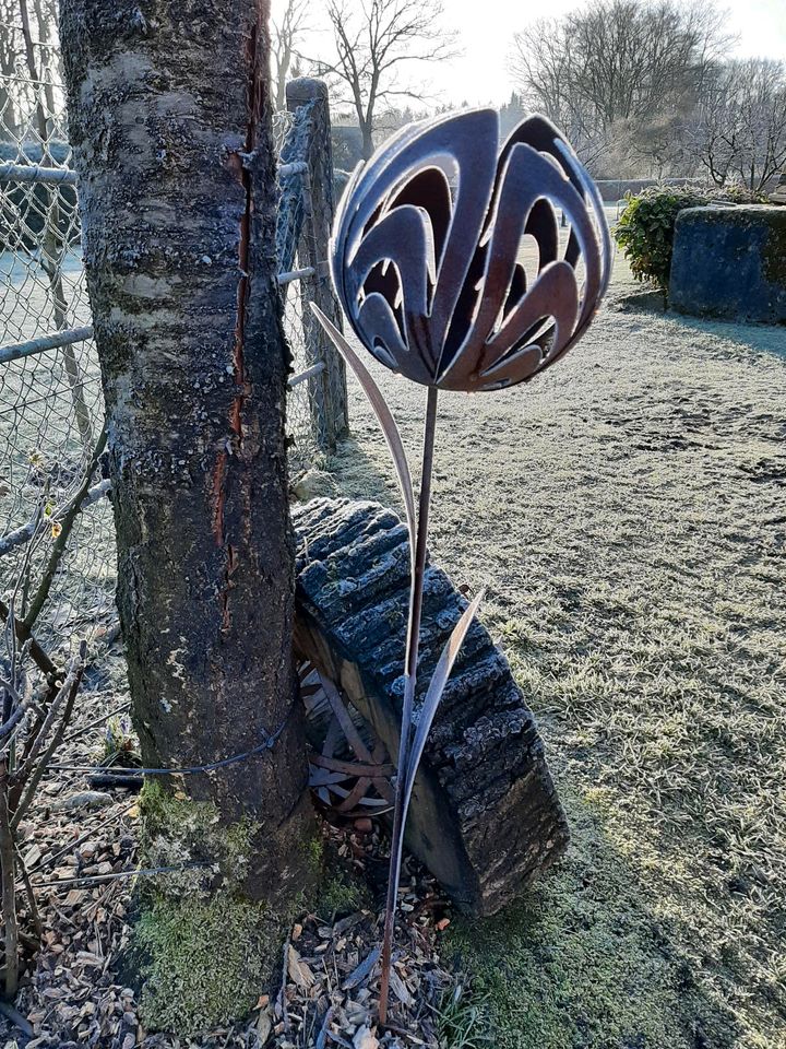 Rost edelrost deko Dekoration Garten Geschenk Blume beet in Kirchwalsede