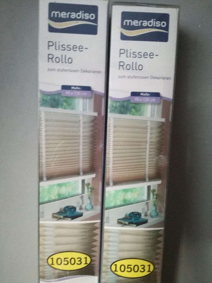 Plissees / Plissee Rollos / Klemmfix in Gnarrenburg