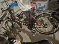 Damenfahrrad zu verkaufen Damenrad zu verkaufen Da Nordrhein-Westfalen - Gelsenkirchen Vorschau
