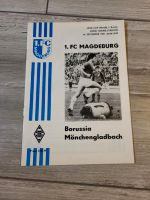 Spielheft Uefa Cup 1981 1. FCM/ Borussia Mönchengladbach Elleben - Riechheim Vorschau