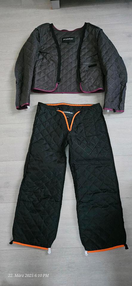 Mädchen / Damen  probiker Motorradkombi Gr 34 +Lederhandschuhe in Lutherstadt Wittenberg