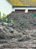 Mutterboden mit Grasnarbe zu verschenken Nordrhein-Westfalen - Marl Vorschau