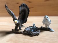 Wie neu Schleich wild life SchneeEule Weißkopfseeadler Adler Nest Niedersachsen - Braunschweig Vorschau