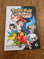 Pokémon Schwarz Weiß Sachsen - Grimma Vorschau