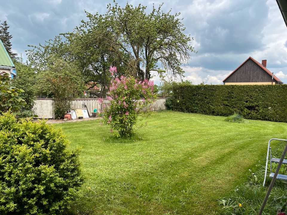 Einfamilienhaus Mecklenburg Vorpommern in Jarmen