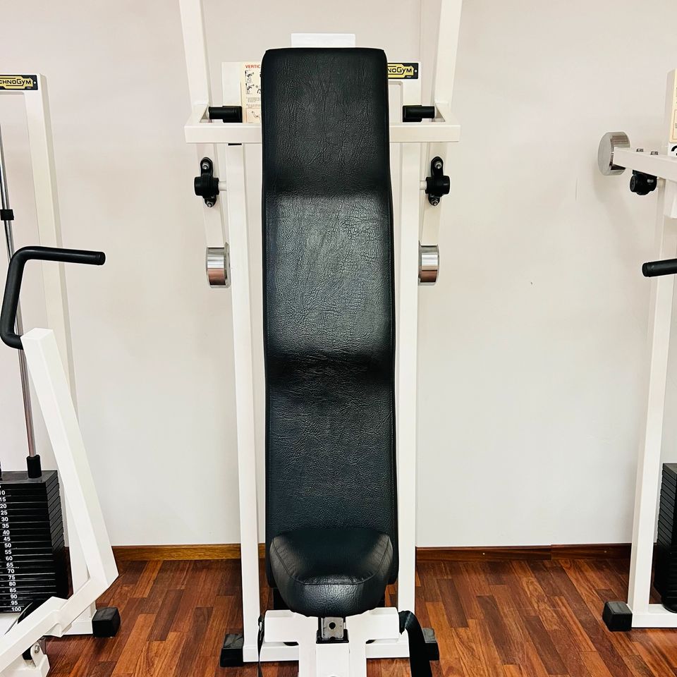 Technogym Isotonic Vertical Traction, Latzug in Wunstorf