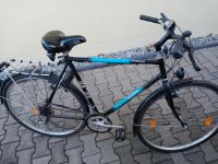 Fahrrad Mars Trekking Herren Bayern - Fensterbach Vorschau