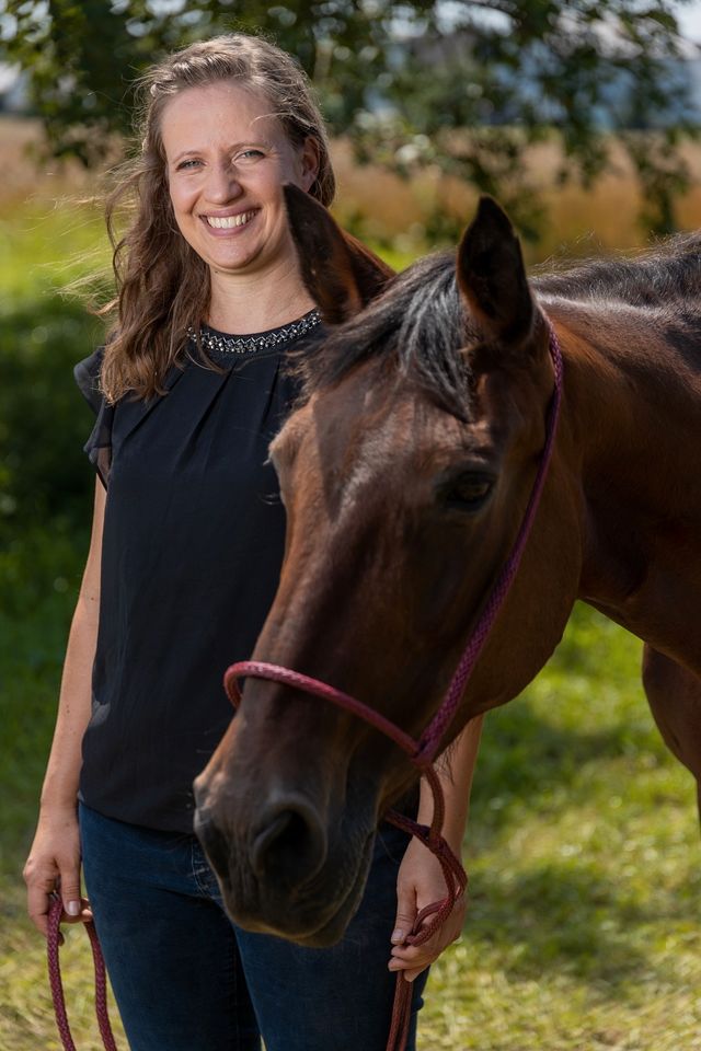 Praktikum mit Pferden auf einem Reitbetrieb 2024 in Genderkingen