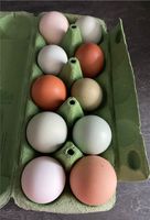 Frische Eier aus Hobbyhaltung Nordrhein-Westfalen - Jüchen Vorschau