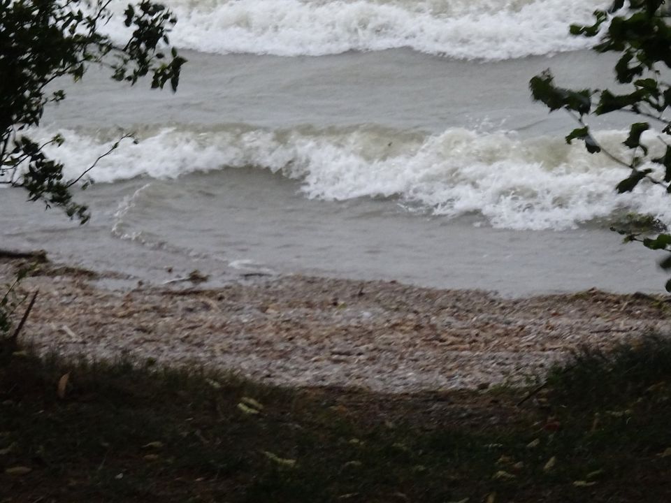 Frühling direkt am Chiemsee-schöne 2-Zi-FeWo Oster-Angebot in Chieming