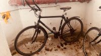 Diamant Trekking Bike 26“ Hessen - Altenstadt Vorschau